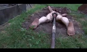 Дівчина, укрїнське порно яка ув'язнена шерифа,