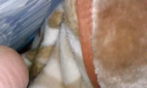 Маленькі українська порно відео діти також знають, як зробити мову